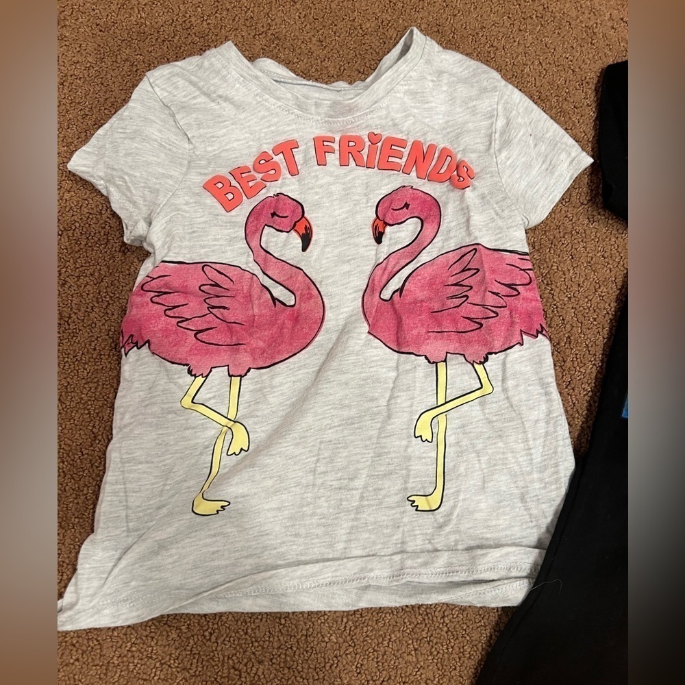 Bundle of 3 Girls Tops Guardians of the Galaxy Minnie Mouse Flamingos Size 4T/XS - Picture 6 of 7